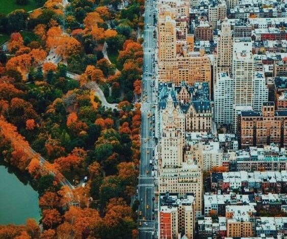 Urban Skin vs. Rural Skin: How Environment Shapes Your Skin More Than Products