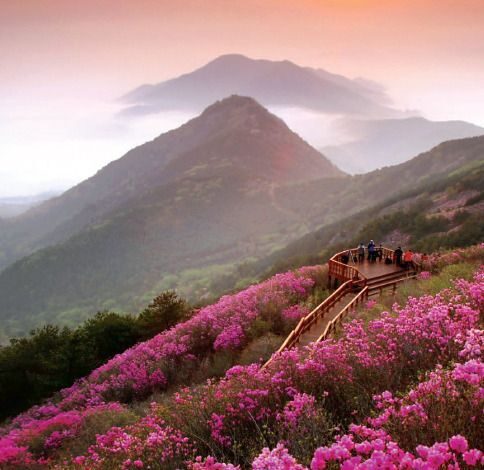 Skin Rituals – South Korea: The Origins Behind Modern K-Beauty